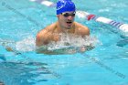 Swimming & Diving vs Babson  Swimming & Diving vs Babson College. - Photo by Keith Nordstrom : Wheaton, Swimming